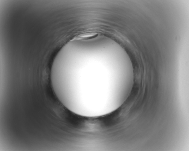 X0000088720603200706212022