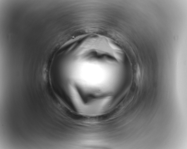 X0000088720604200706212022