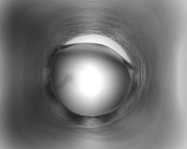 X0000088720605200706212022