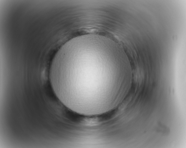 X0000088720606200706212022