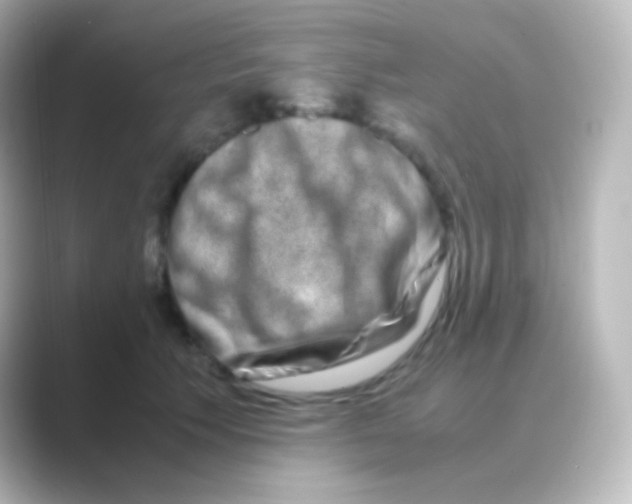 X0000088720609200706212022