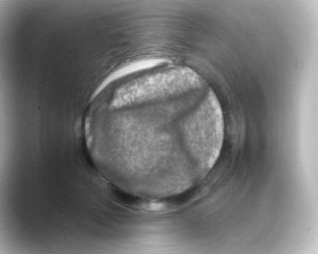 X0000088720610200706212022