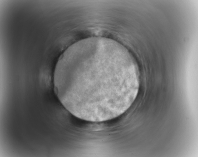 X0000088720615200706212022