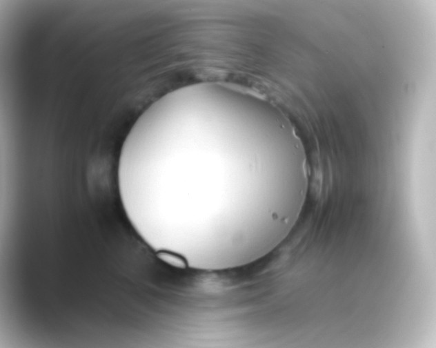 X0000088720616200706212022