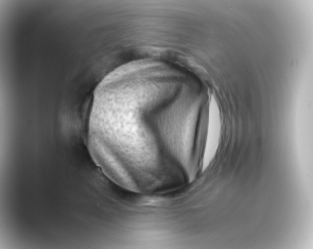 X0000088720617200706212022