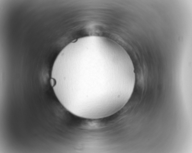 X0000088720618200706212022