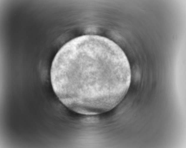 X0000088720619200706212022