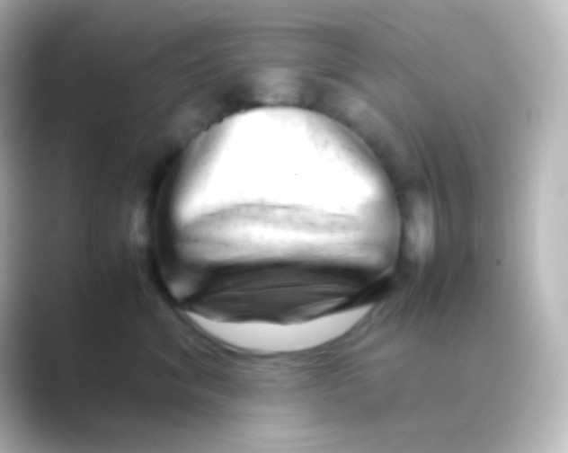 X0000088720620200706212022