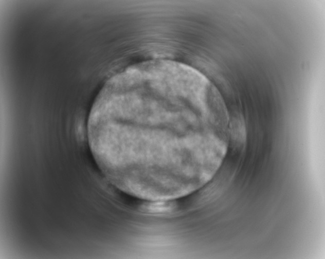 X0000088720622200706212022