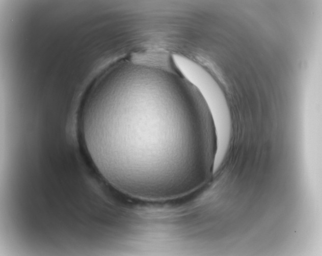 X0000088720626200706212021