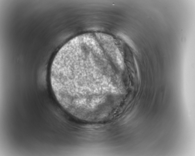 X0000088720627200706212021