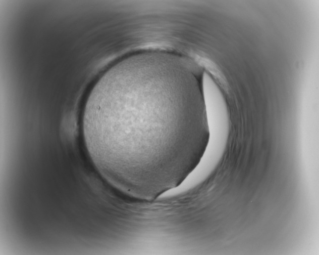 X0000088720628200706212021