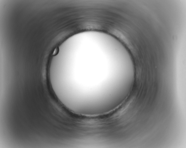 X0000088720629200706212021