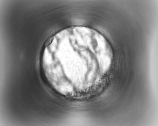 X0000088720630200706212021