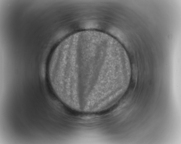 X0000088720631200706212021