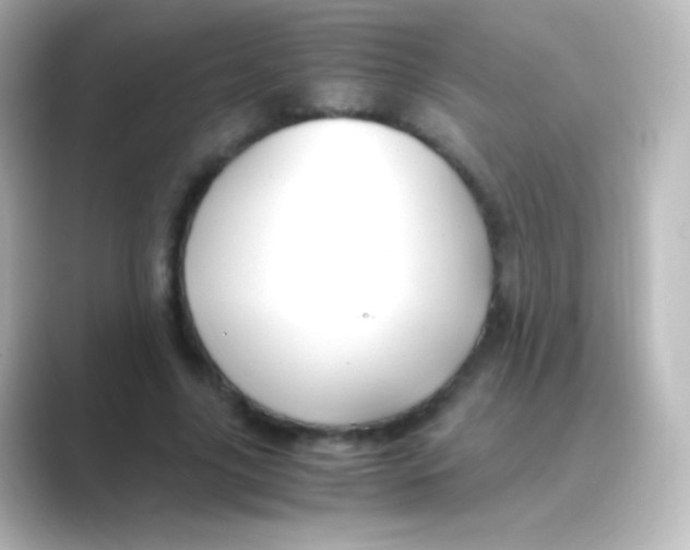 X0000088720635200706212021