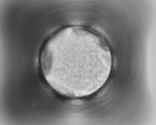 X0000088720636200706212021