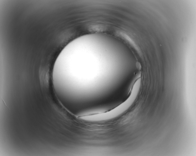 X0000088720637200706212021