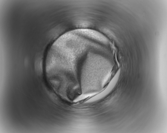 X0000088720638200706212021