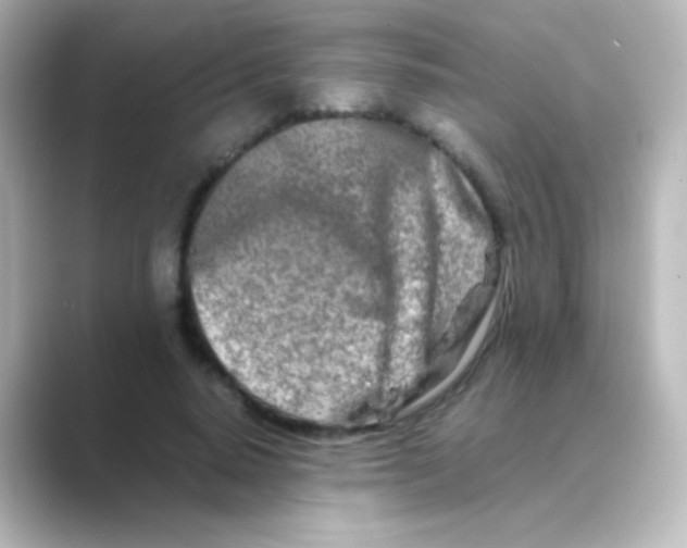 X0000088720640200706212021