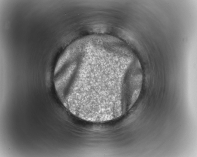 X0000088720641200706212021