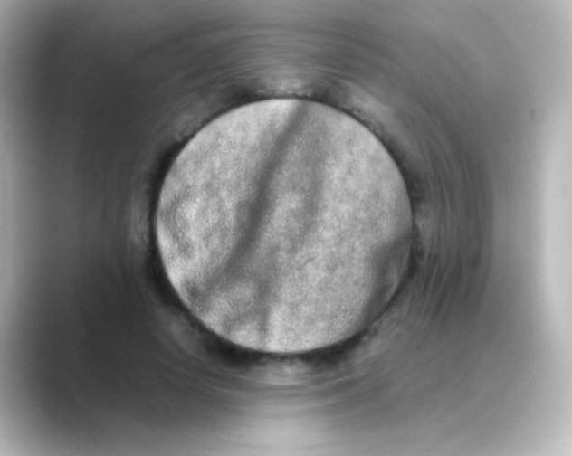 X0000088720642200706212021