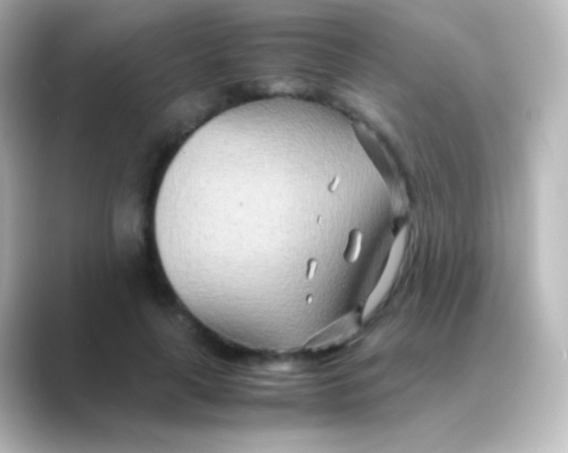 X0000088720643200706212021