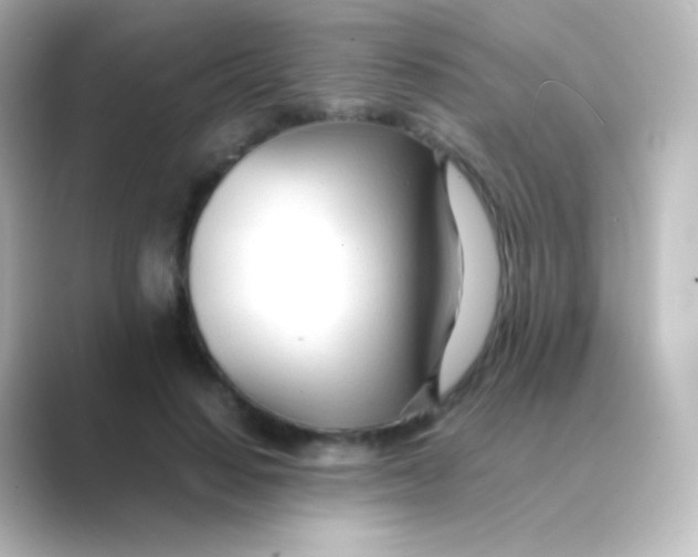 X0000088720644200706212021