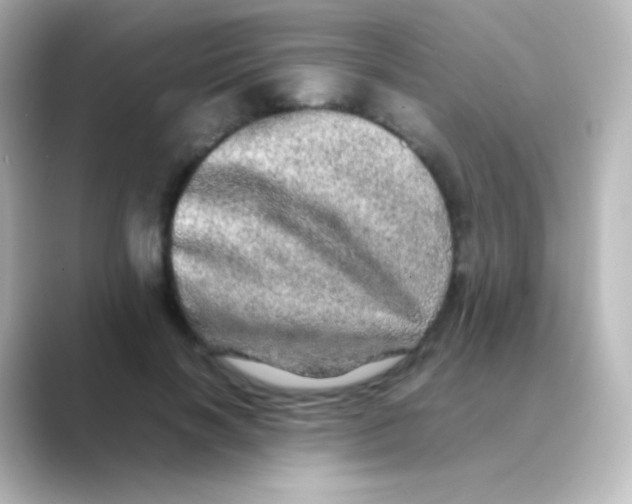 X0000088720646200706212021