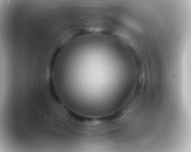 X0000088720647200706212021