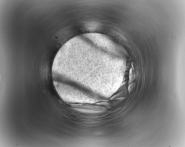 X0000088720651200706212021