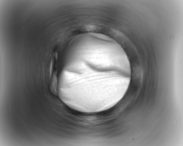 X0000088720653200706212021