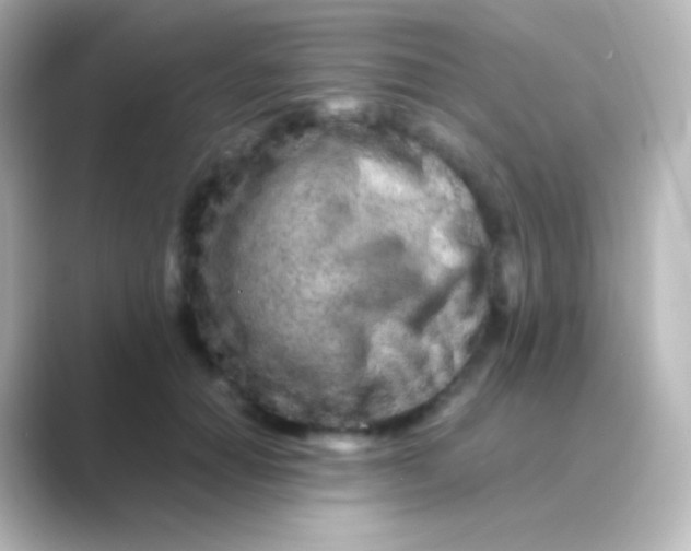 X0000088720654200706212021