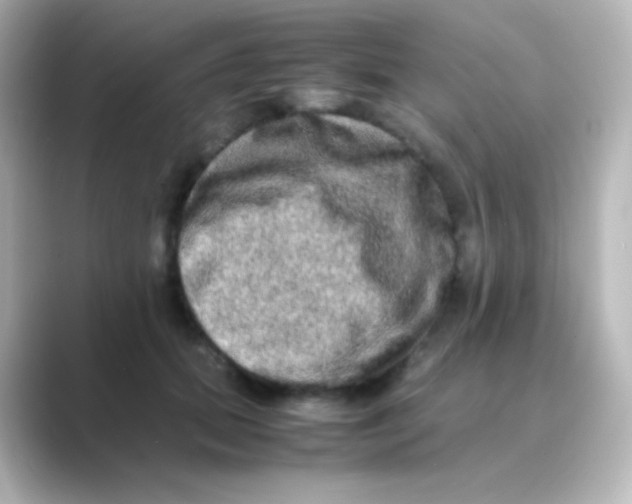 X0000088720655200706212021