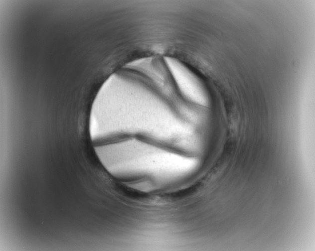 X0000088720656200706212021