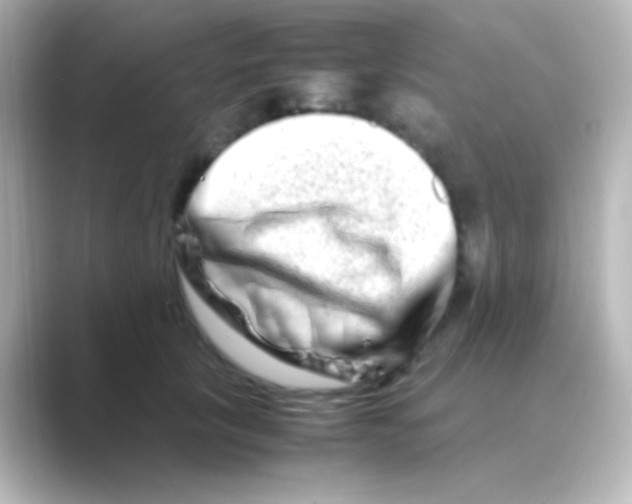 X0000088720657200706212021