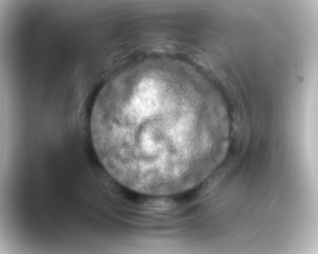 X0000088720659200706212021