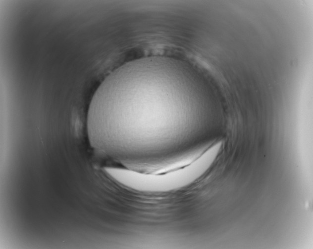 X0000088720661200706212021