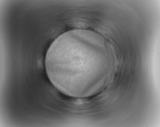 X0000088720663200706212021