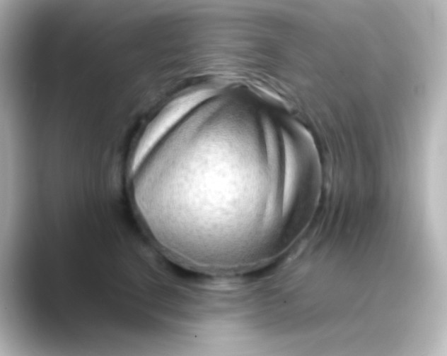 X0000088720664200706212021