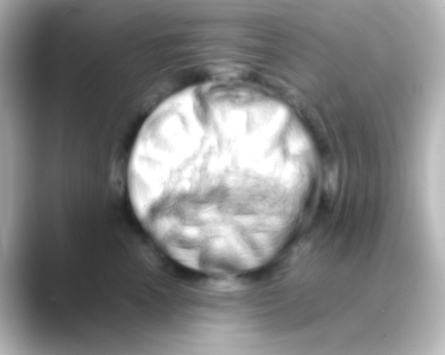 X0000088720666200706212021