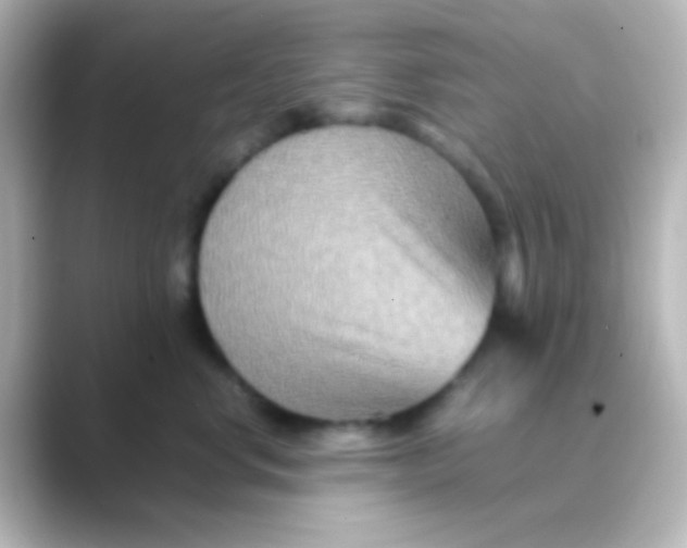 X0000088720668200706212021