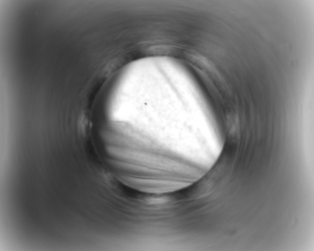 X0000088720669200706212022