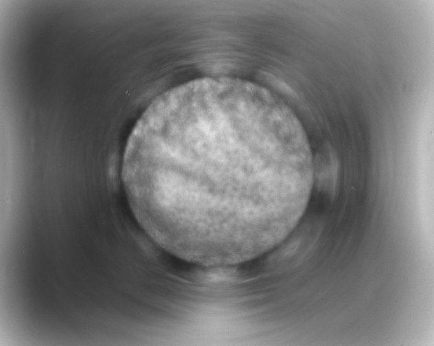 X0000088720670200706212022