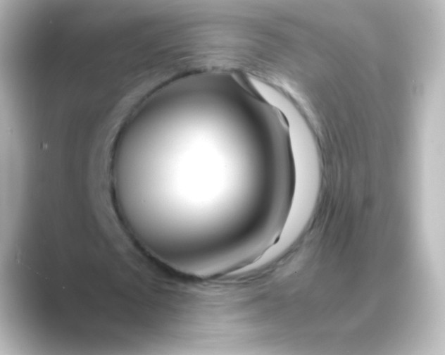 X0000088720673200706212021