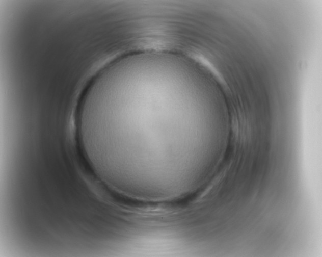 X0000088720674200706212021