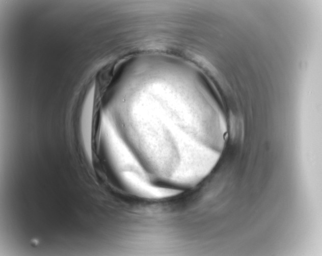 X0000088720675200706212021