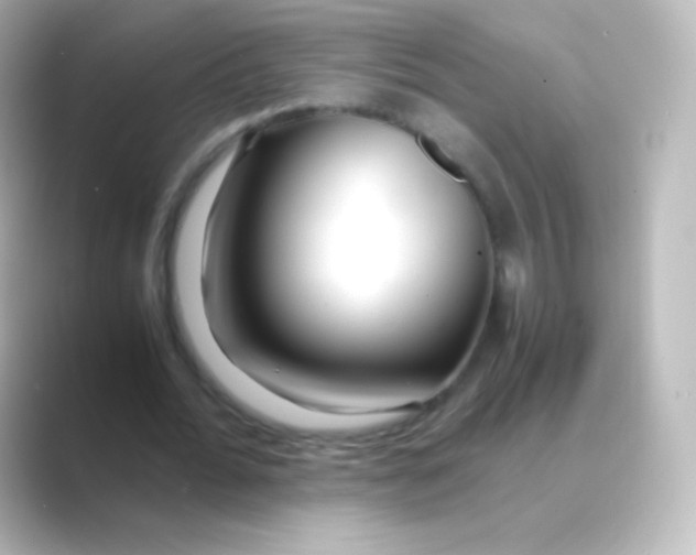 X0000088720676200706212021