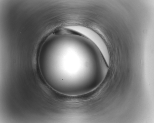 X0000088720677200706212021