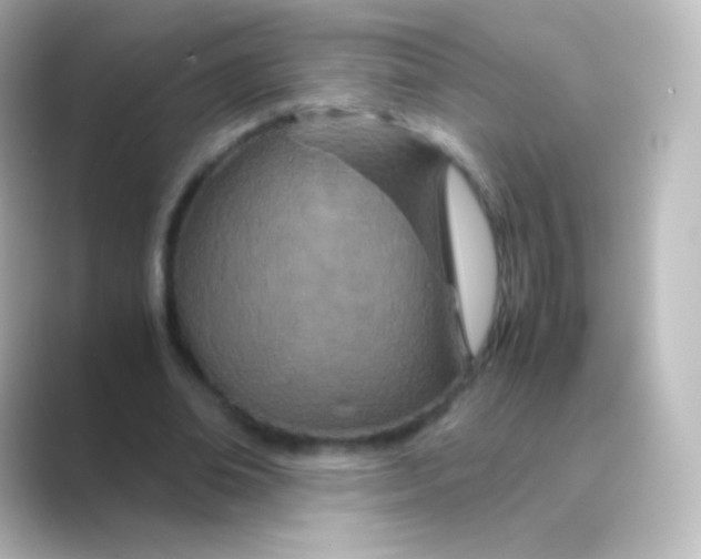 X0000088720678200706212021